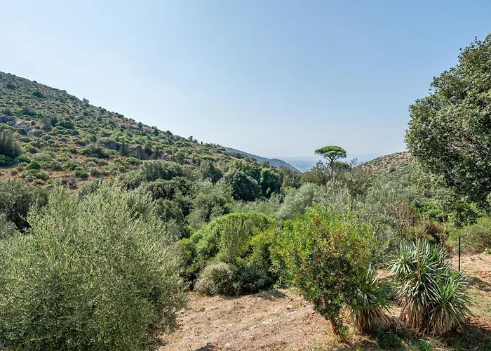 Dei Cipressi San Giuliano Terme